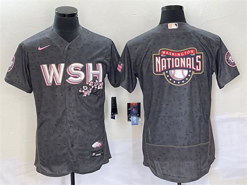 Washington Nationals Flexbase jerseys-019
