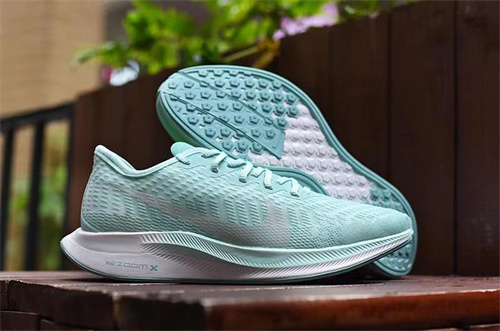 Nike Zoom Pegasus-W-004