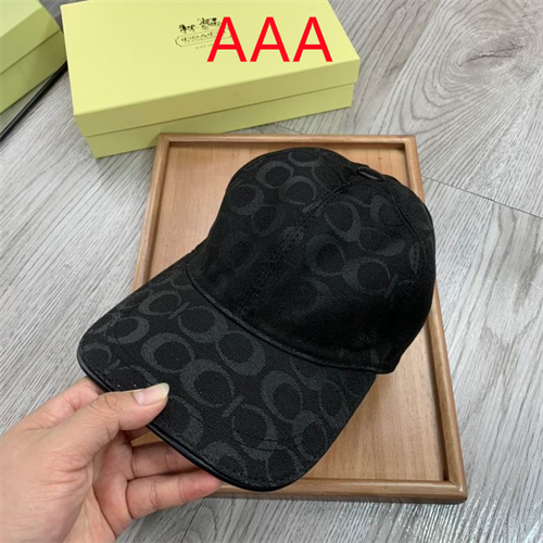 Coach-Cap(AAA)-005