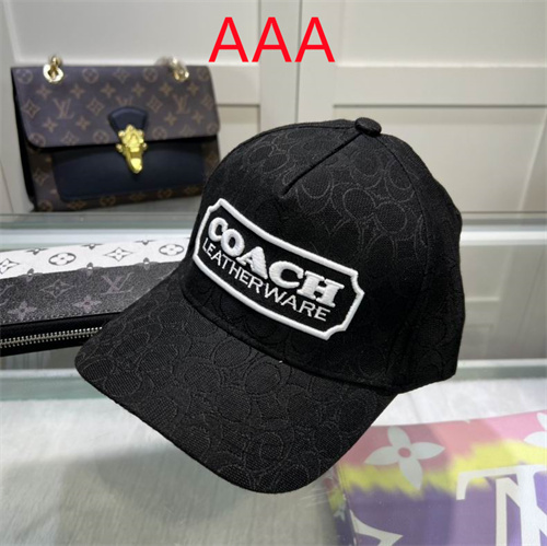 Coach-Cap(AAA)-009