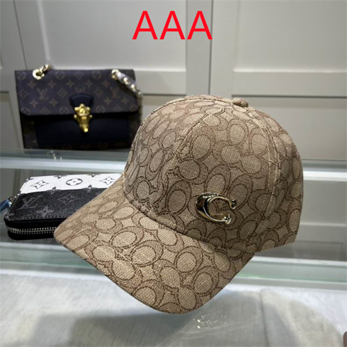 Coach-Cap(AAA)-013