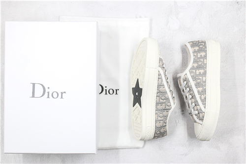 Dior Shoes-M-004