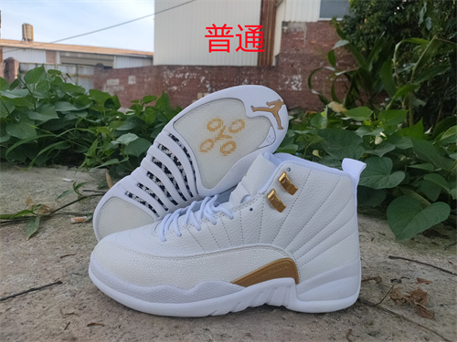 Jordan12-M-015