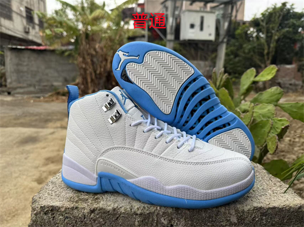 Jordan12-M-0049