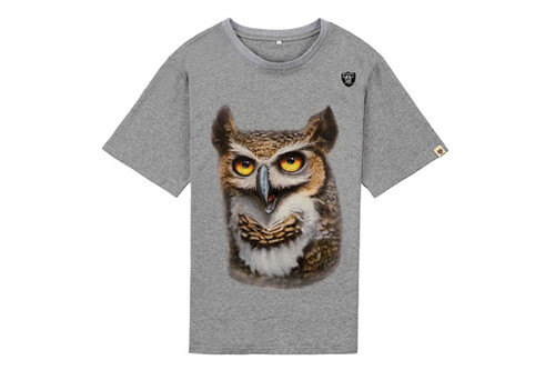 NFL T-shirt-M(10)-063